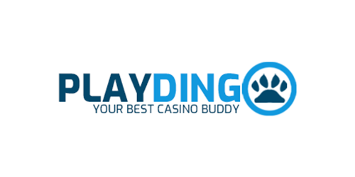 Playdingo Casino  - Playdingo Casino Review casino logo