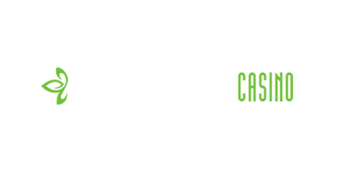 https://cryptoforcasino.com/casino/dream-palace-casino.png