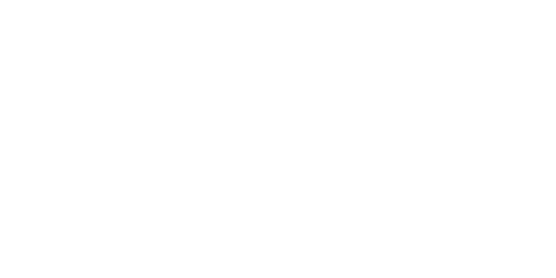 MapleBet Casino  - MapleBet Casino Review casino logo