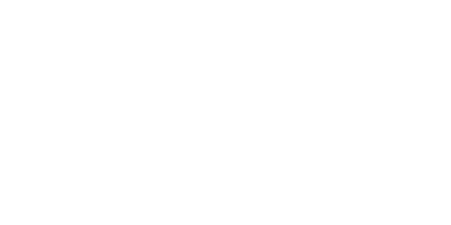 White Lion Casino  - White Lion Casino Review casino logo